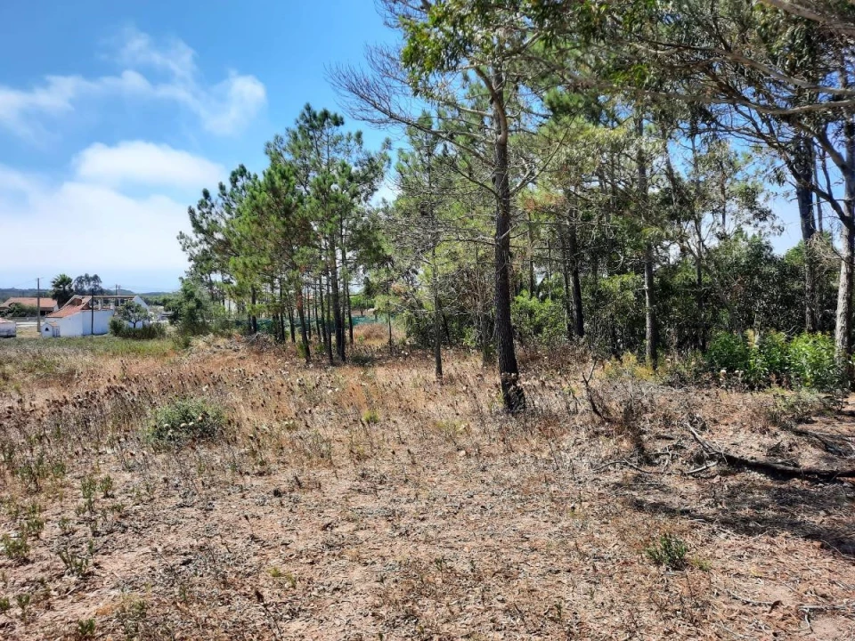 Terreno Agricola ou Rústico para Venda em Rogil Foto 1