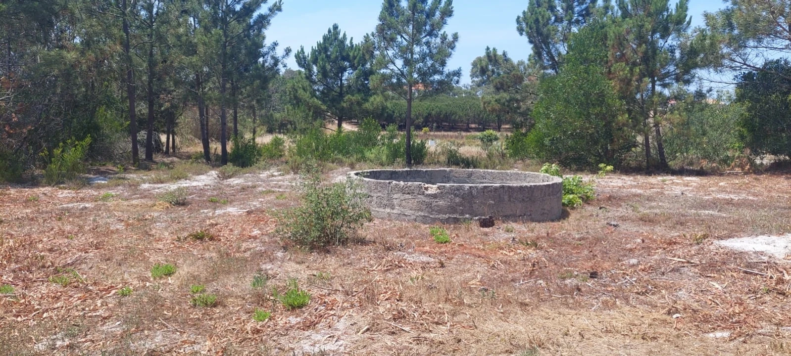 Terreno Agricola ou Rústico para Venda em Rogil Foto 7