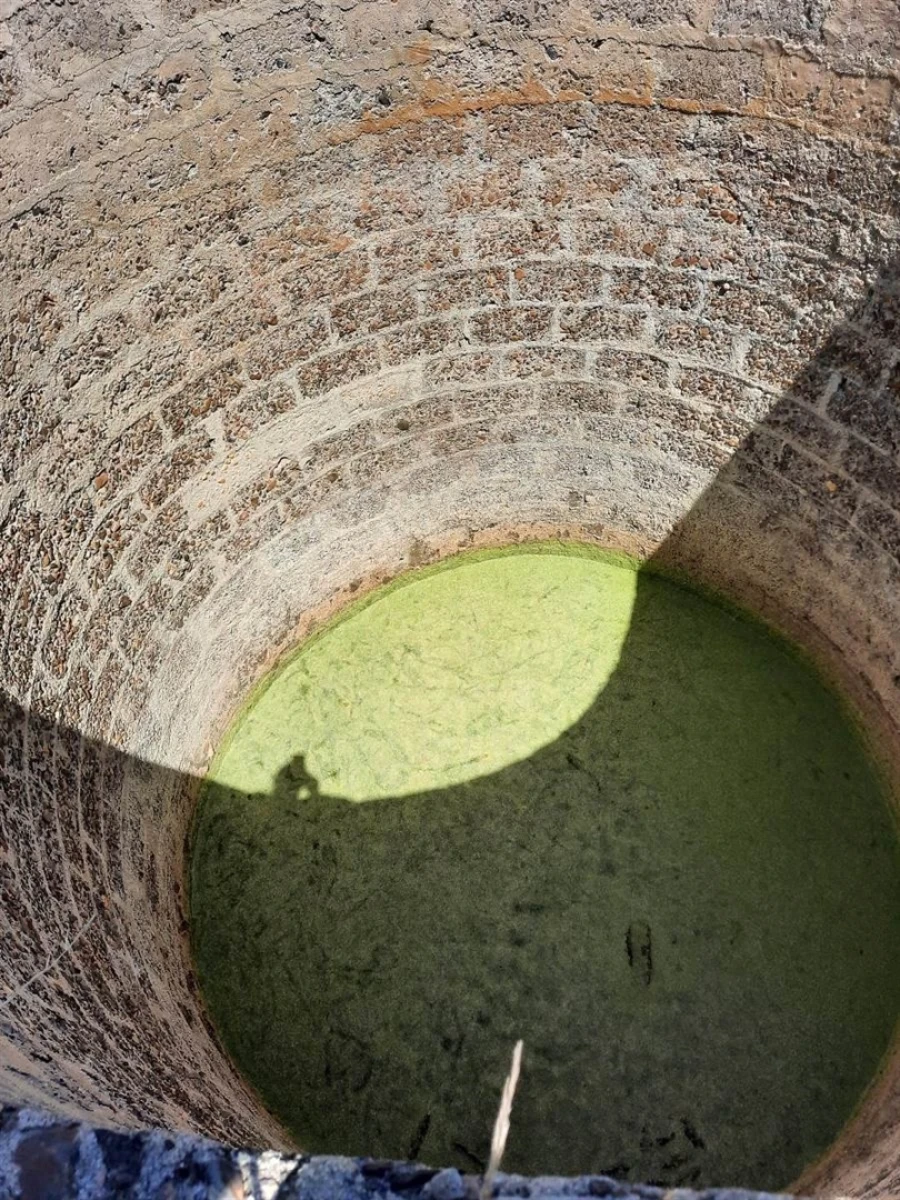 Terreno Agricola ou Rústico para Venda em Rogil Foto 9
