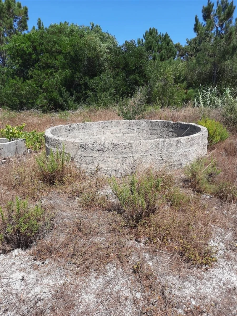 Terreno Agricola ou Rústico para Venda em Rogil Foto 8