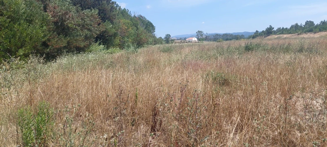 Terreno Agricola ou Rústico para Venda em Rogil Foto 14
