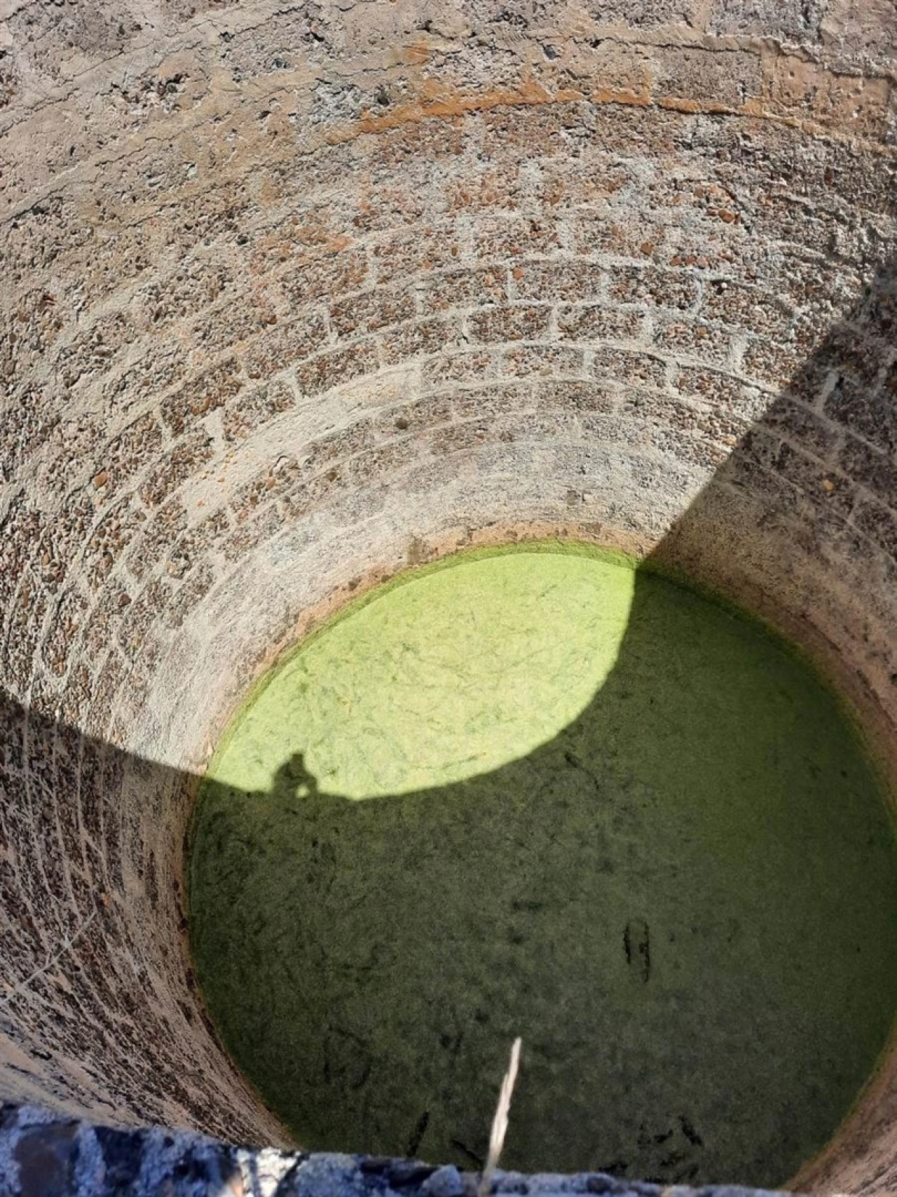 Terreno Agricola ou Rústico para Venda em Rogil Foto 9