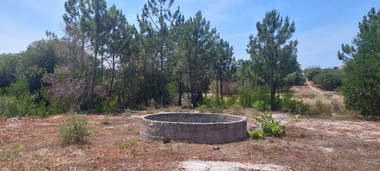 Terreno Agricola ou Rústico para Venda em Rogil Foto 6