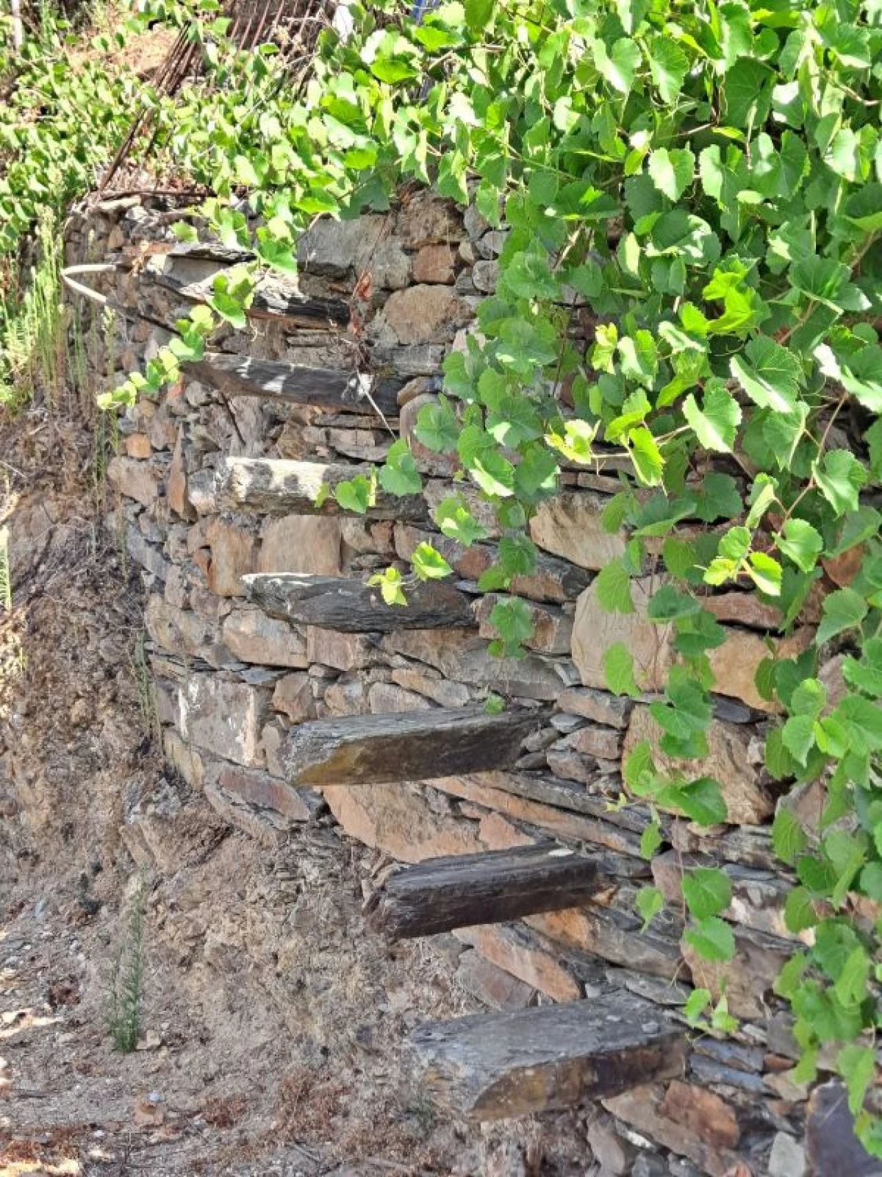 Moradia T3 para Venda em Alvaro Foto 43