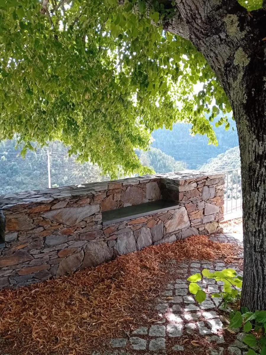 Moradia T3 para Venda em Alvaro Foto 34