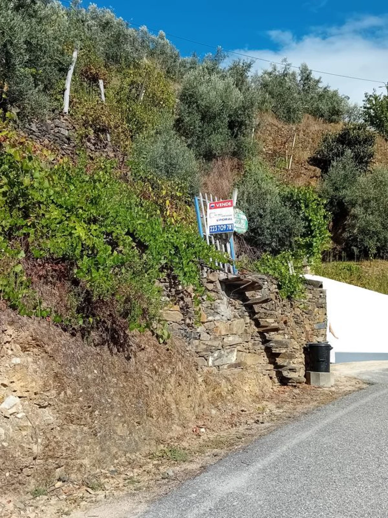 Moradia T3 para Venda em Alvaro Foto 35