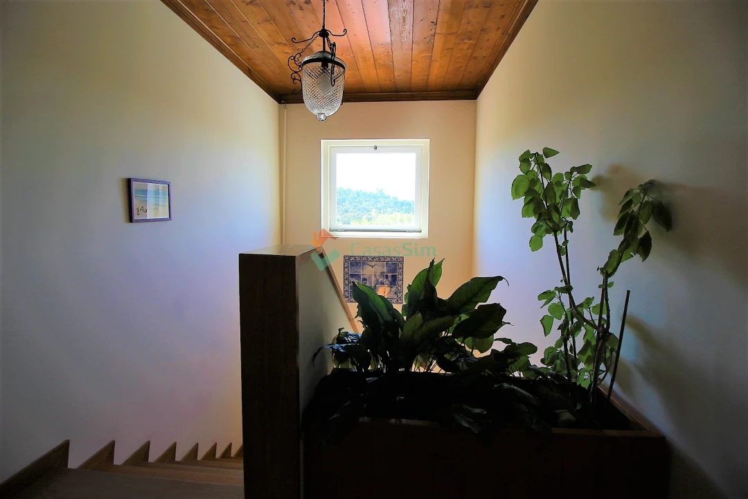 Quinta T14 para Venda em Raposa Foto 80