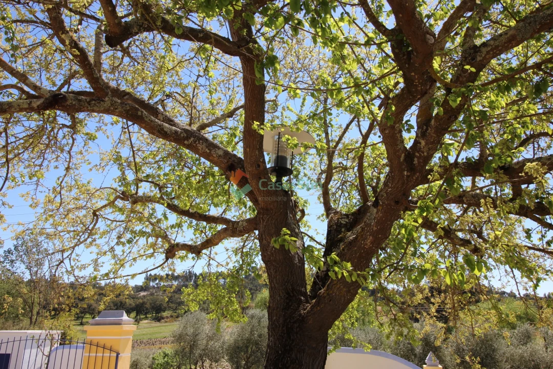 Quinta T14 para Venda em Raposa Foto 66