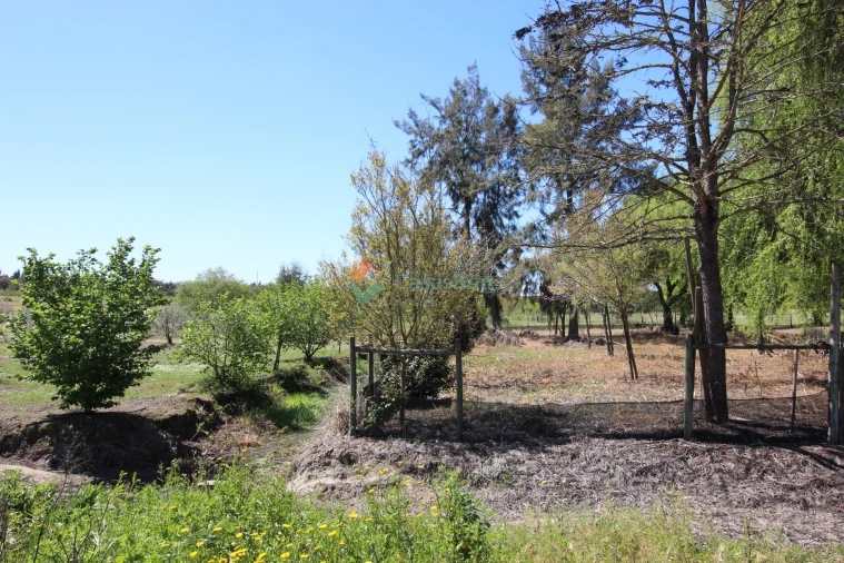 Quinta T14 para Venda em Raposa Foto 69