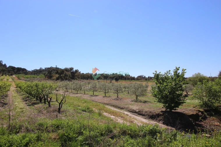 Quinta T14 para Venda em Raposa Foto 68