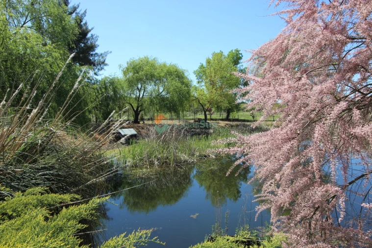 Quinta T14 para Venda em Raposa Foto 67