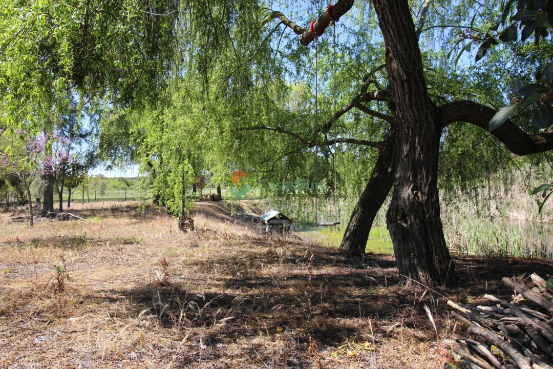 Quinta T14 para Venda em Raposa Foto 70