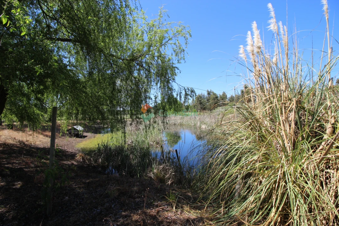 Quinta T14 para Venda em Raposa Foto 71
