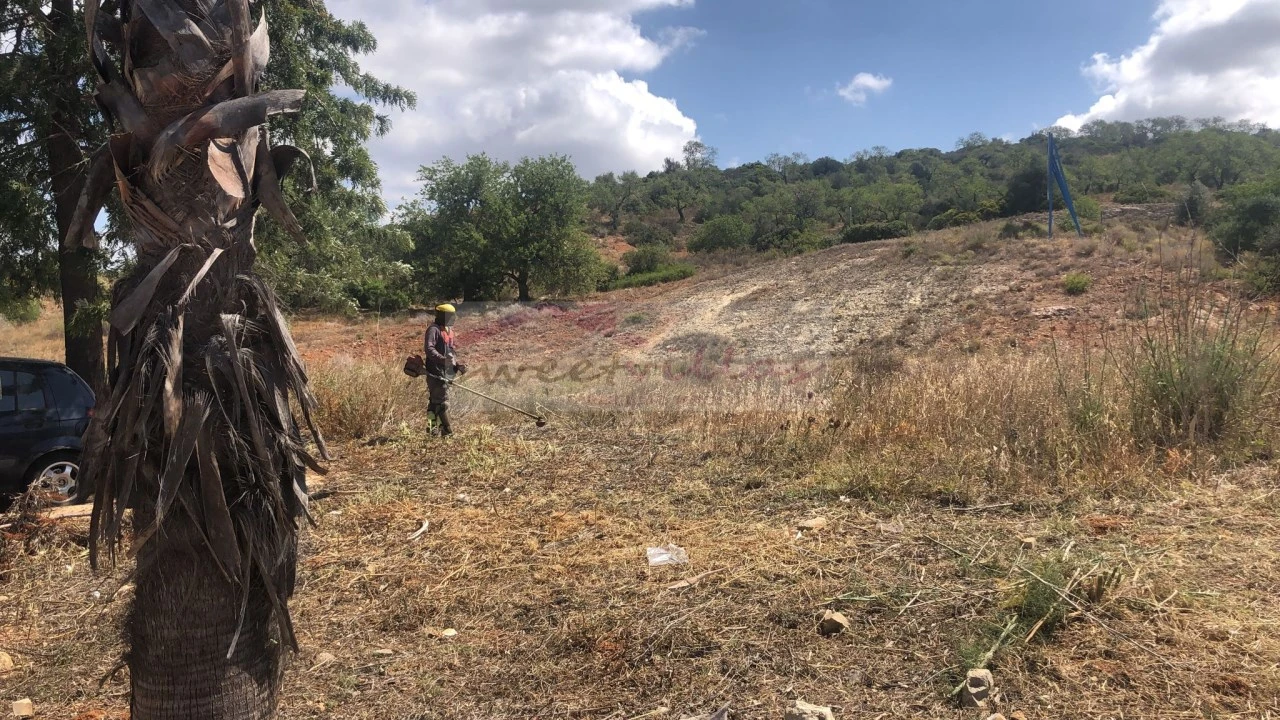 Terreno para Venda em Algoz e Tunes Foto 4