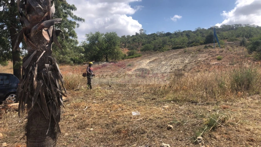 Terreno para Venda em Algoz e Tunes Foto 4