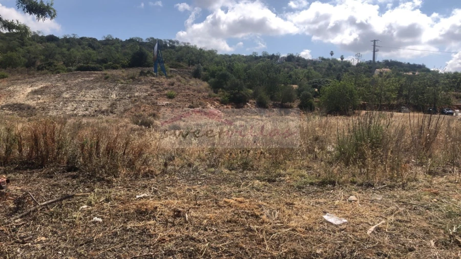 Terreno para Venda em Algoz e Tunes Foto 6