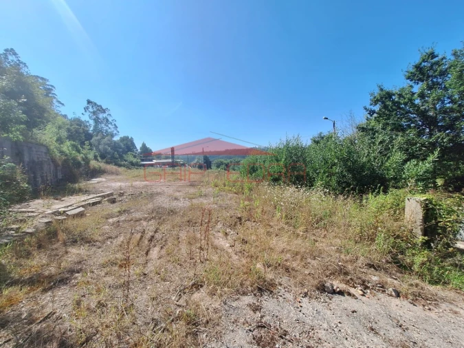 Terreno para Venda em Trofa, Segadães e Lamas do Vouga Foto 2