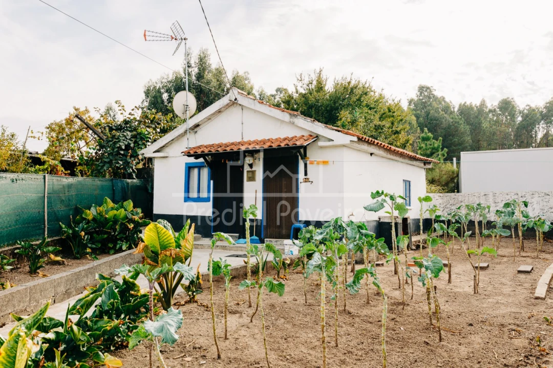 Moradia T7 para Venda em Gamil e Midões Foto 13