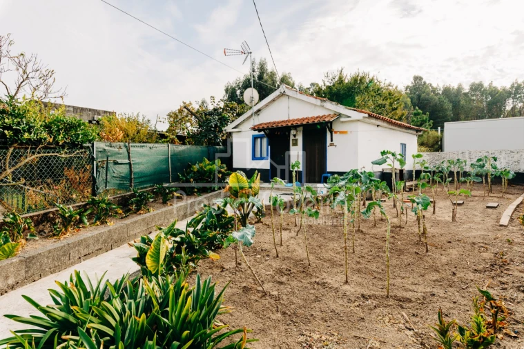 Moradia T7 para Venda em Gamil e Midões Foto 12