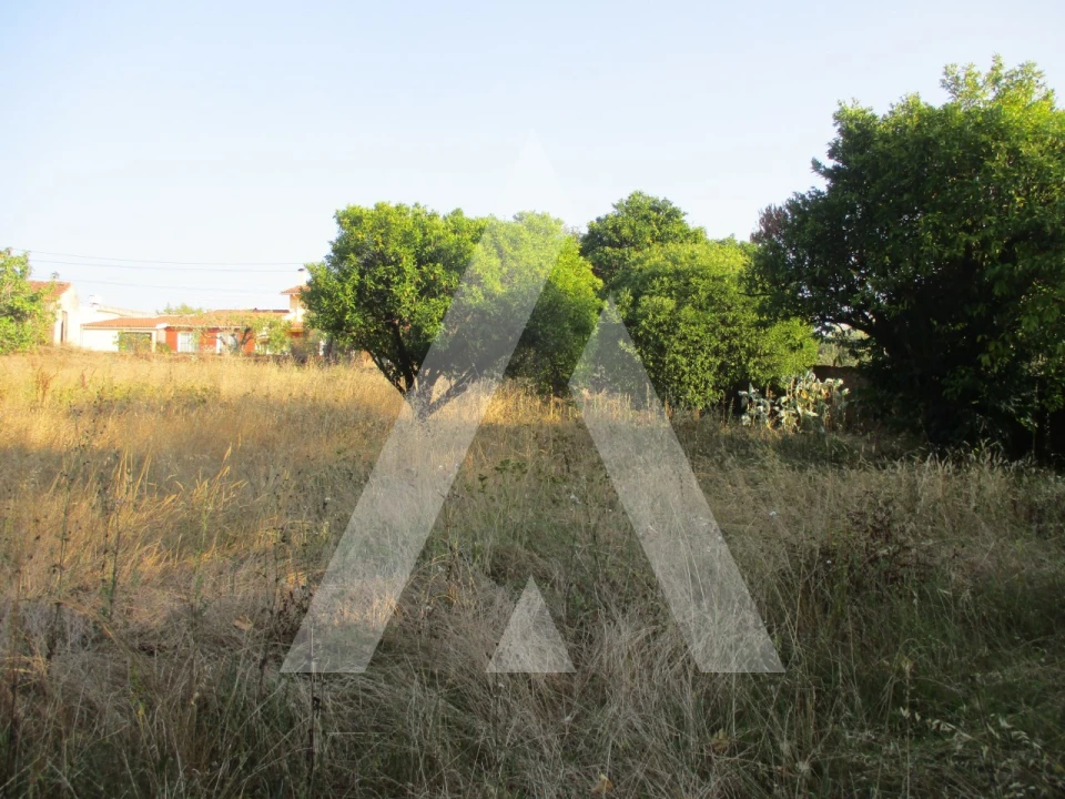 Terreno para Venda em Oliveira do Bairro Foto 6