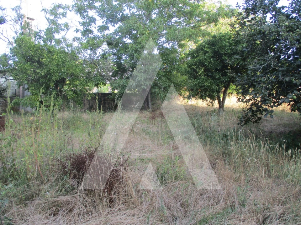 Terreno para Venda em Oliveira do Bairro Foto 8