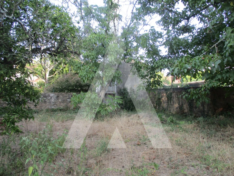 Terreno para Venda em Oliveira do Bairro Foto 10