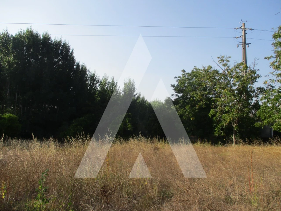 Terreno para Venda em Oliveira do Bairro Foto 11