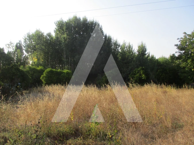 Terreno para Venda em Oliveira do Bairro