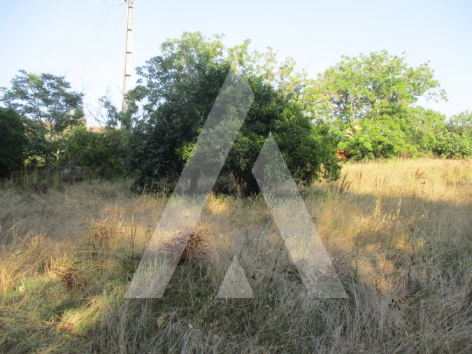 Terreno para Venda em Oliveira do Bairro Foto 3