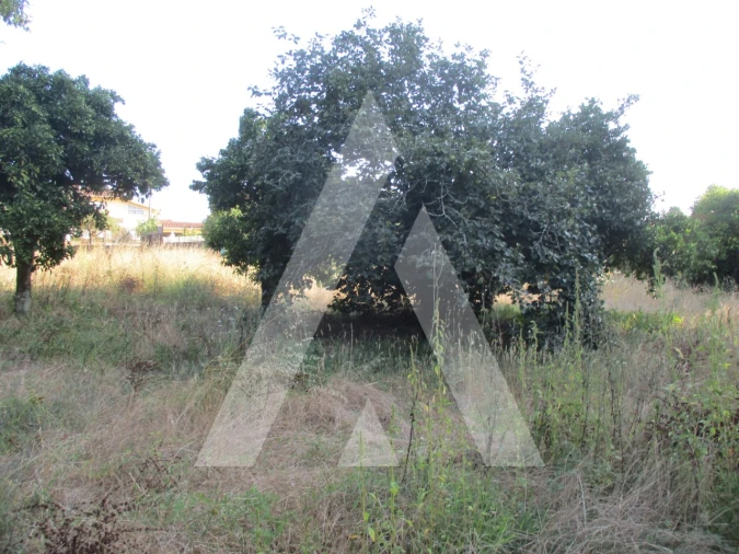 Terreno para Venda em Oliveira do Bairro Foto 7