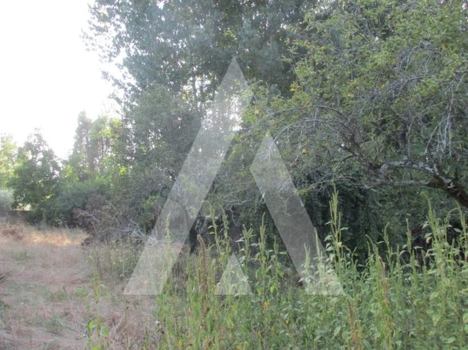 Terreno para Venda em Oliveira do Bairro Foto 9