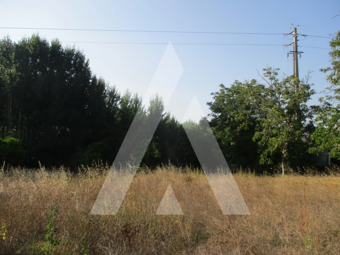 Terreno para Venda em Oliveira do Bairro Foto 11