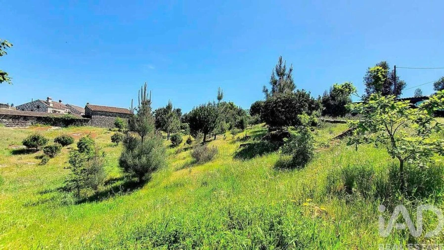 Moradia T4 para Venda em Ervedal e Vila Franca da Beira Foto 28