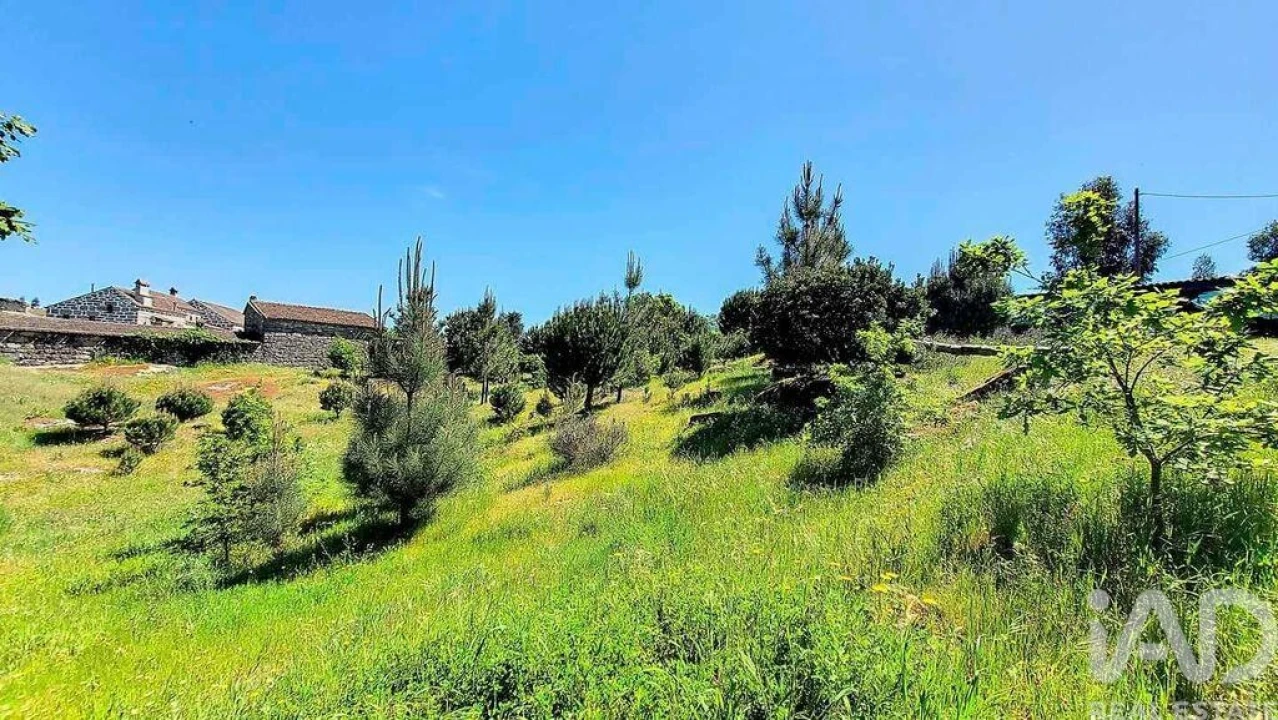 Moradia T4 para Venda em Ervedal e Vila Franca da Beira Foto 28