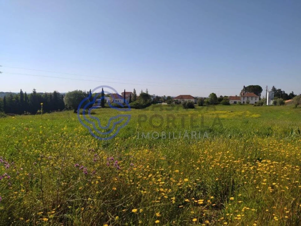 Terreno para Venda em Madalena e Beselga Foto 2