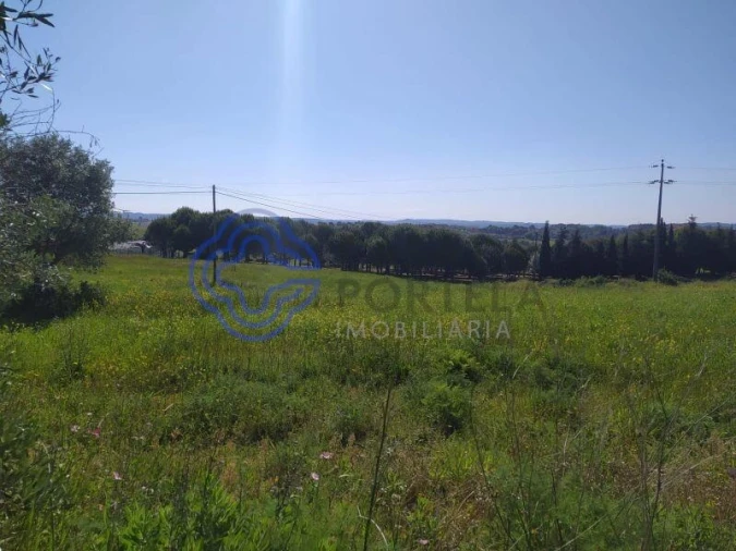 Terreno para Venda em Madalena e Beselga Foto 6