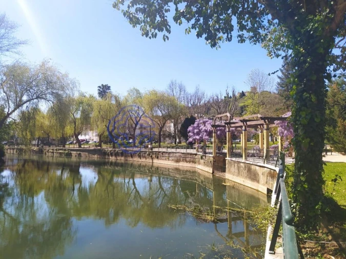 Terreno para Venda em Madalena e Beselga Foto 13