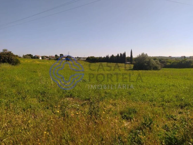 Terreno para Venda em Madalena e Beselga Foto 1