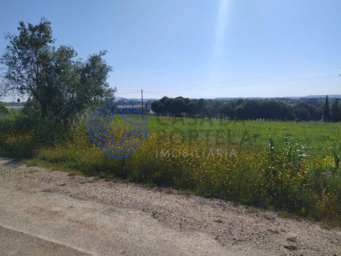 Terreno para Venda em Madalena e Beselga Foto 5