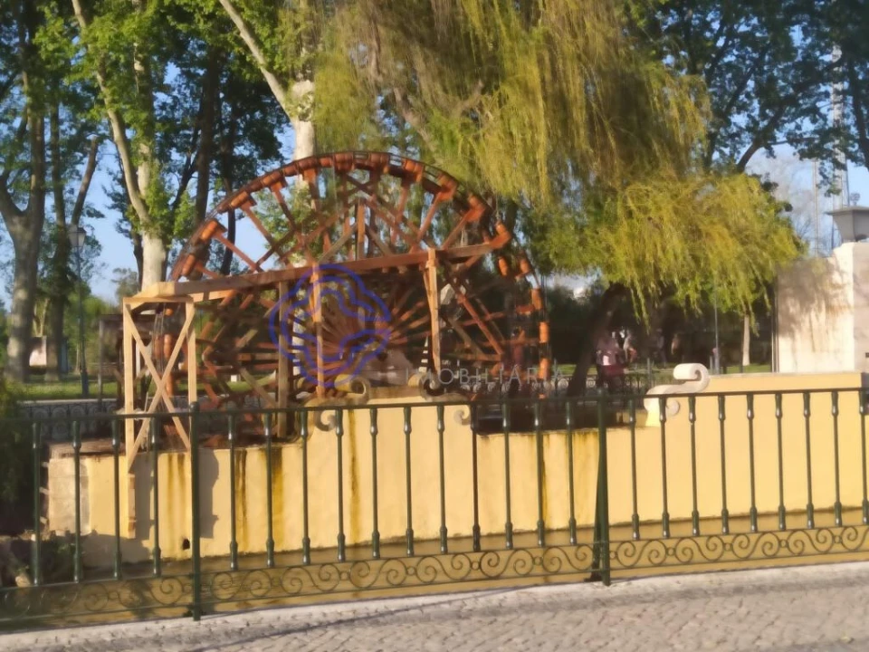 Terreno para Venda em Madalena e Beselga Foto 8