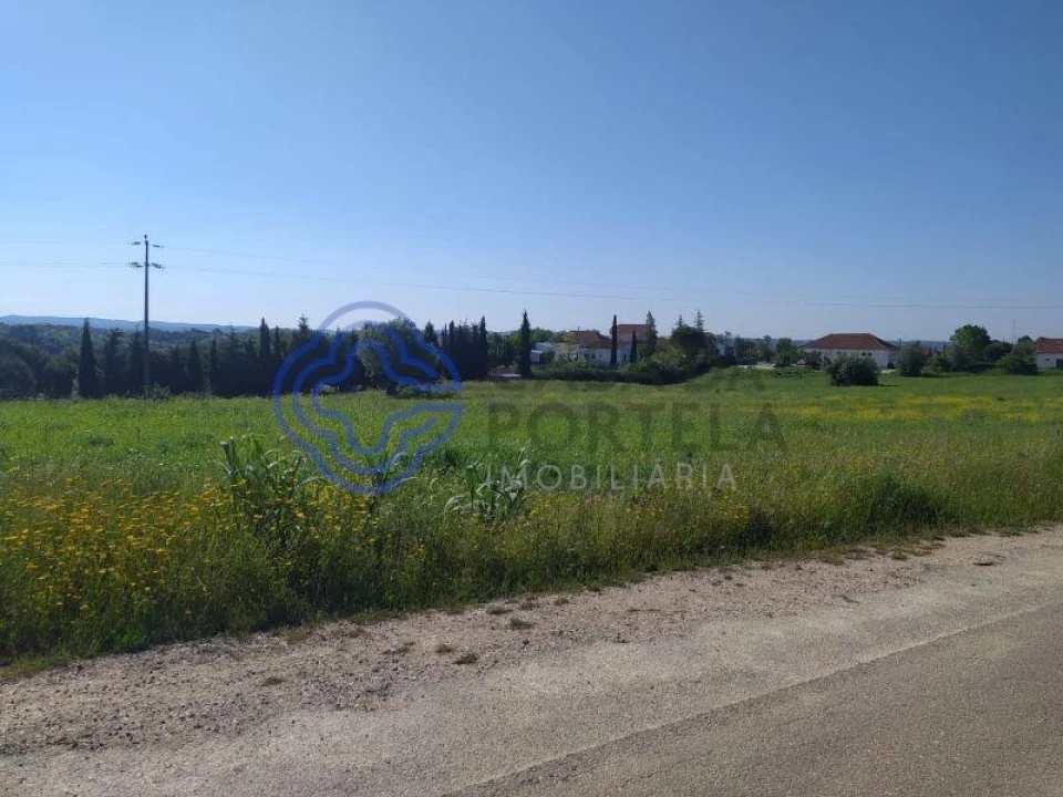 Terreno para Venda em Madalena e Beselga Foto 4