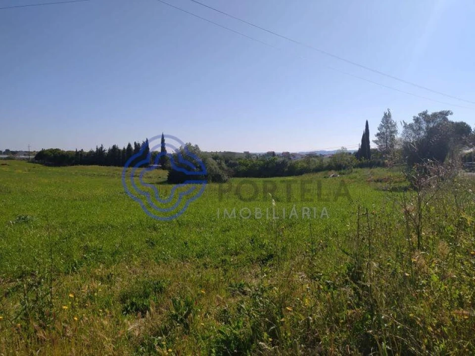 Terreno para Venda em Madalena e Beselga Foto 7