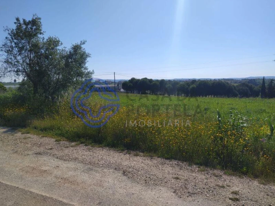 Terreno para Venda em Madalena e Beselga Foto 5