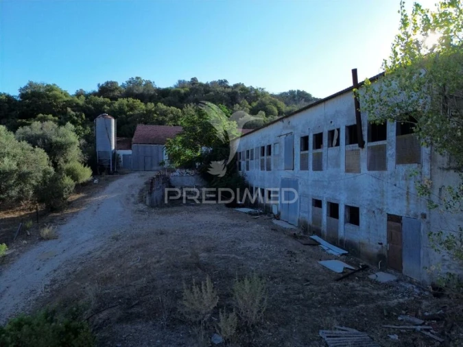 Armazém para Venda em São Vicente do Paul e Vale de Figueira Foto 9