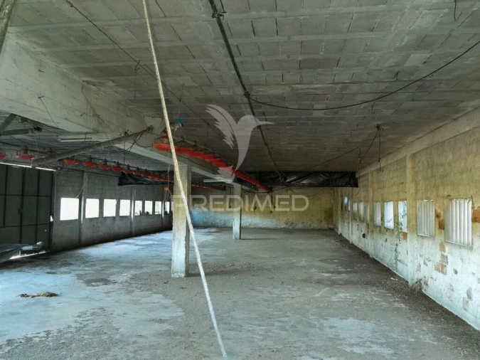 Armazém para Venda em São Vicente do Paul e Vale de Figueira Foto 19