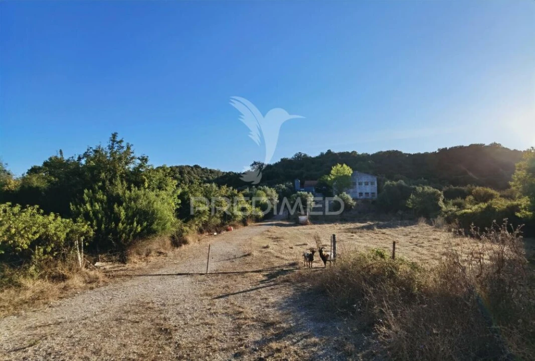 Armazém para Venda em São Vicente do Paul e Vale de Figueira Foto 12