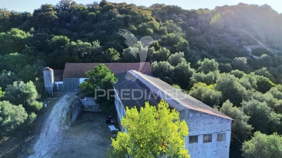 Armazém para Venda em São Vicente do Paul e Vale de Figueira