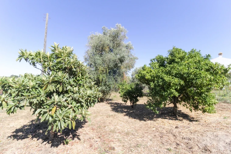 Moradia T2 para Venda em Moçarria Foto 11