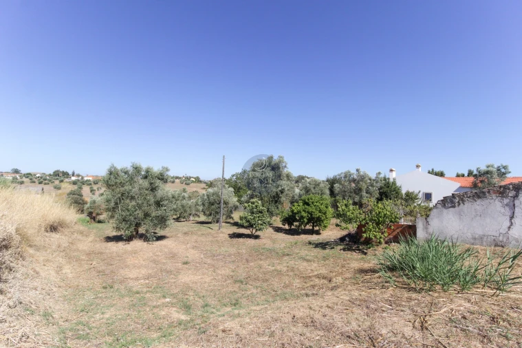 Moradia T2 para Venda em Moçarria Foto 9