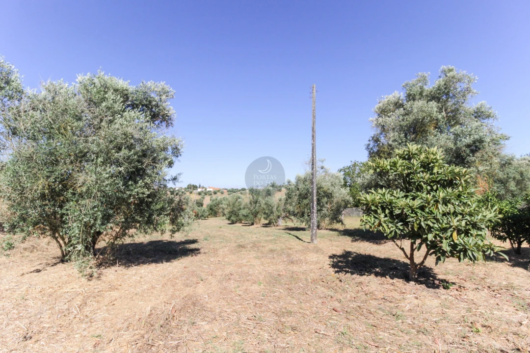 Moradia T2 para Venda em Moçarria Foto 10